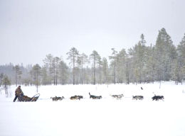 sejours laponie finlande photos